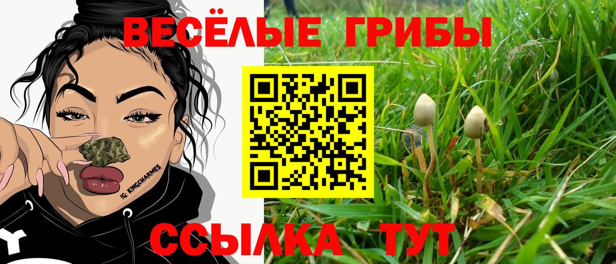 Галлюциногенные грибы мицелий  где купить наркотик  Вход с VPN  Валуйки  Псилоцибиновые грибы Psilocybine cubensis 